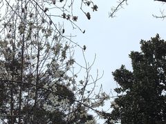 -颐和路民国时期公馆风貌区
