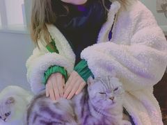 -极木²邸 人与宠物·互动社区