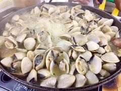 -顺德哥卜卜贝(旗舰店)