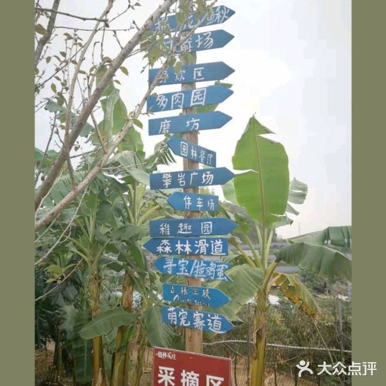 户外的，自然的儿童乐园