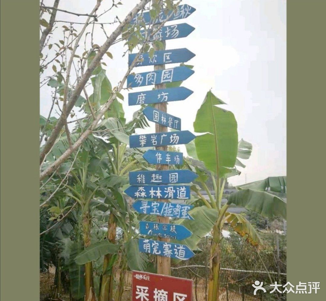 户外的，自然的儿童乐园
