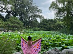 -皇家御河游(紫御湾码头)