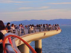 -演武大桥观景平台