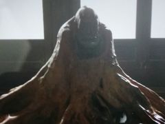 -王家大院