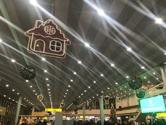 -谢列梅捷沃国际机场