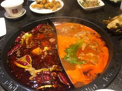 -菌自在·云南野生菌火锅(长安万达店)