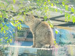 -青藏高原野生动物园