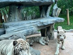 -北京野生动物园