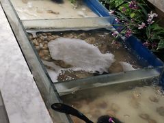 -火锅岛潮牌自助餐厅(天津天佑城店)