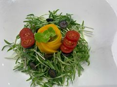 -丁老爷子苏香圆