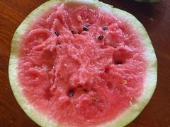 -南汇新场正宗水蜜桃采摘