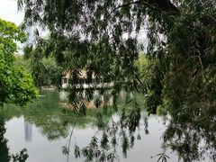 -荔枝公园(福田区)