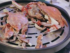 -半岛听涛蒸汽海鲜自助(K11店)