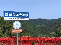 -金龙寺国家森林公园
