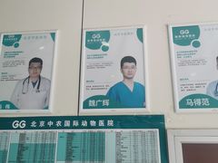 -中农国际动物医院24小时·猫科·骨科·急重症中心