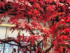 -禾珍珠家常小馆(河南博物院店)