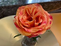 -小西家作(富力爱丁堡店)