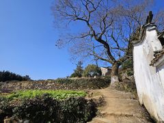 -乌石村