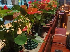 -顺德一品粥·20年凤城老字号(芳村店)