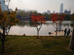 -雁滩公园