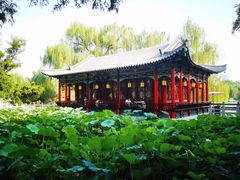 -济南大明湖景区