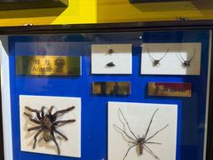 -上海昆虫博物馆