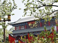 -济南大明湖景区
