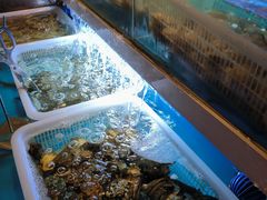 -上海凯宾斯基大酒店