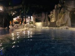 -中铁花水湾温泉酒店(大邑店)