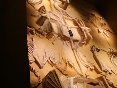 -洛阳周王城天子驾六博物馆