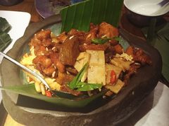 -雀舞云南菜(乐客城店)