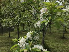 -昆山城市生态森林公园