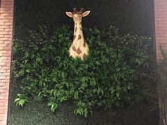 -丽达购物中心(崂山店)