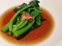 玉琅玕-觀芷隐轩