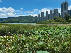 -梅溪湖城市岛