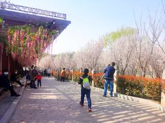 -西安汉城湖景区