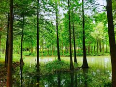 -中国湿地博物馆