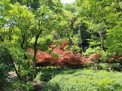 -北仑森林植物园