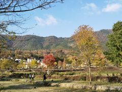 -塔川景区