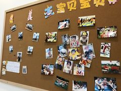 -婴智贝佳蒙特梭利早教托育中心(杨浦店)