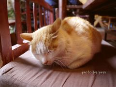 -飘香酒馆·私房菜