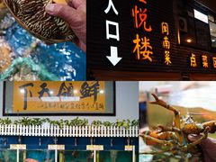 -鑫悦楼煎蟹·16年海鲜大排档