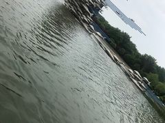 -上海鲜花港