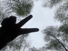 -蜀南竹海景区