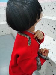 -Moni星球萌宠·小马宝莉·灵蛇·高端高阶全萌宠互动体验俱乐部(红豆国际广场店)