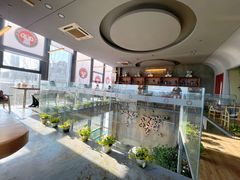 -了不起的考拉咖啡店(高新店)