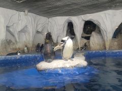 -太平洋海底世界