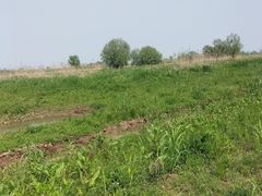 -盘龙城国家考古遗址公园