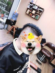 -纯剪男士理发馆·烫染专业店