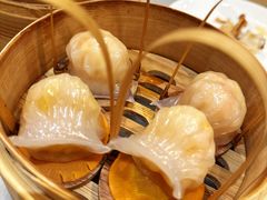 -金鼎轩(方庄天坛店)